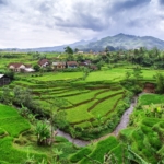 indonesia
