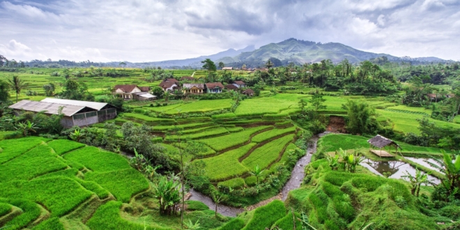 indonesia