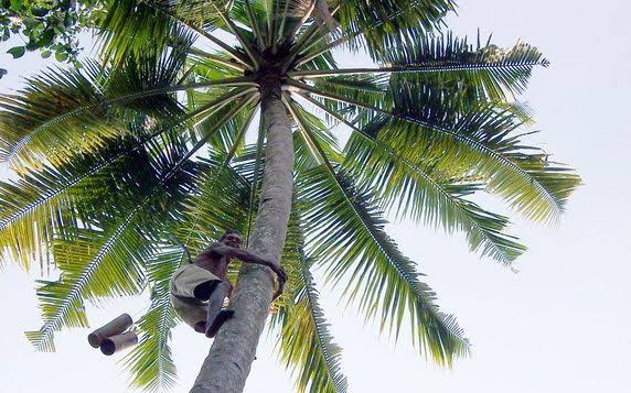 Sumber: Islami.co